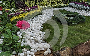 Serenity: Home Garden - White Pebbles, Lawn and Red Daisy flower