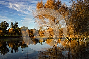 Serenity on Lindo Lake photo