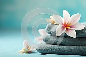 Serenity Spa Retreat: Zen Harmony