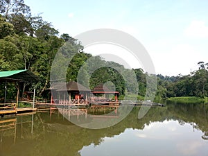 Serenity in Taman Cahaya, Shah Alam, Malaysia photo
