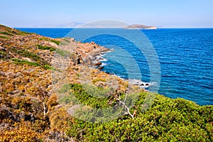 Sergeant island, sea and cliff photo
