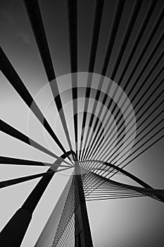 Seri Wawasan Bridge in black and white