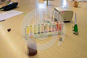 Serial dilution in test tubes, used chemistry class or research.