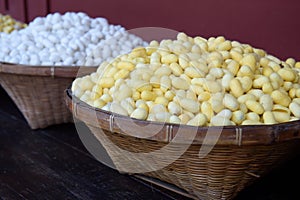 Sericulture and silk thread