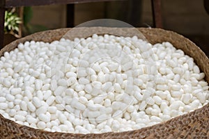 Sericulture and silk thread