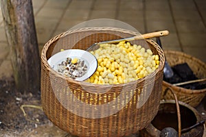 Sericulture and silk thread