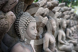 Series of Buddha statues