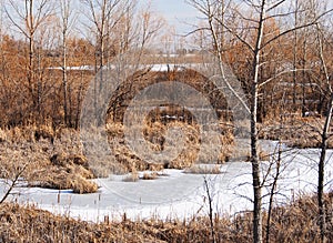 Series of Frozen Lakes and Ponds