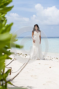Series of Maldives photo