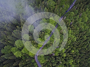 Series of mist on Transfagarasan