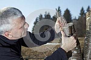 SERIES OF PHOTOS Grafting fruit tree