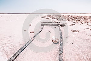 Series of Pink Hued Images - tracks to no where photo