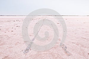 Series of Pink Hued Images - tracks to no where photo