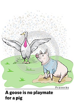 A series of postcards with a piglet. Proverbs and sayings. A goose is no playmate for a pig photo