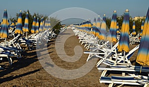 Series of sun umbrellas on the beach bibione