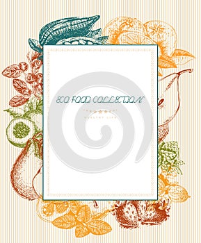 Series - vector fruit, vegetables and spices. Organic food menu. Set of vegetables, fruits and spices. Sketch