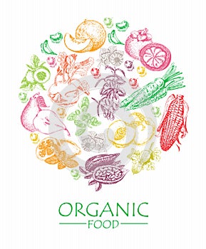 Series - vector fruit, vegetables and spices. Organic food. Set of vegetables, fruits and spices. Farm meal. Poster. Menu