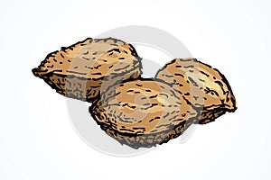 Series of vector illustrations of archaeological finds. Remains of linen, fruit stones and seeds photo