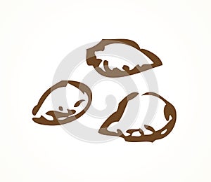 Series of vector illustrations of archaeological finds. Remains of linen, fruit stones and seeds photo