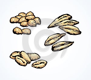 Series of vector illustrations of archaeological finds. Remains of linen, fruit stones and seeds photo