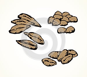 Series of vector illustrations of archaeological finds. Remains of linen, fruit stones and seeds photo