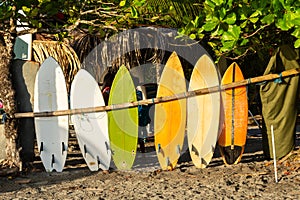 Series of well-worn surf boards lined up against wood pole in the golden hour light