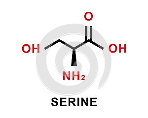 Serine chemical formula. Serine chemical molecular structure. Vector illustration