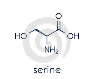 Serine l-serine, Ser, S amino acid molecule. Skeletal formula.