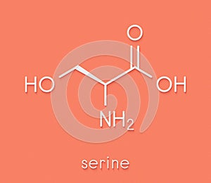Serine l-serine, Ser, S amino acid molecule. Skeletal formula.