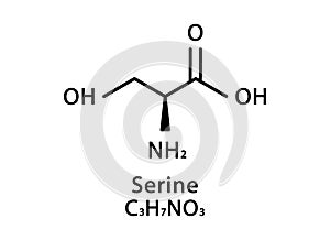 Serine molecular structure. Serine skeletal chemical formula. Chemical molecular formula vector illustration