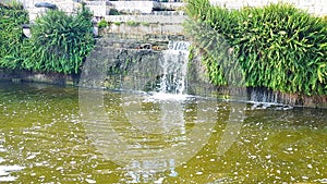 Serine pond with waterfall