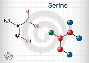 Serine, Ser amino acid molecule. It is used in the biosynthesis of protein. Structural chemical formula and molecule model. Sheet