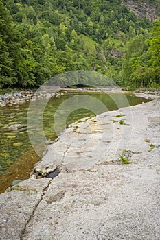 Serio river and beautiful trees photo