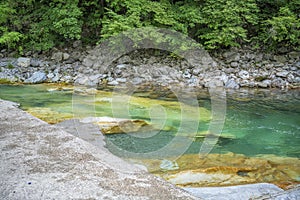 Serio river and its green water photo