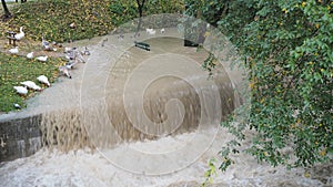 The Serio river swollen after heavy rains. Province of Bergamo, northern Italy photo