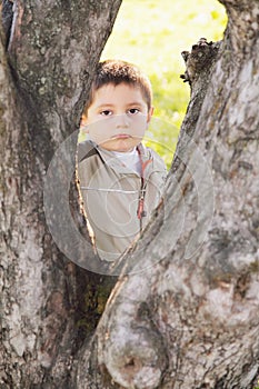 Serious boy behind tree