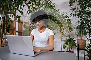 Serious curly African-American young woman working typing on laptop computer sitting at desk in home office room with