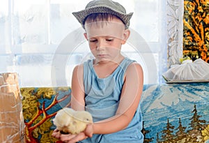 Serious Cute Young Boy Holding his Chick Pet