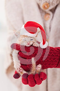 Serious ginger kitten with santa hat sitting in woman hands and winking