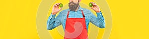 Serious man crop view in red apron holding fresh limes citrus fruits yellow background, fruiterer photo