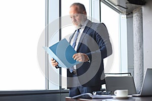 Serious mature business man in formalwear reading contract while standing near the window in the office