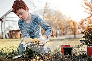 Serious schooler using small shovel while gardening