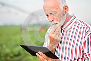 Serious senior agronomist or farmer contemplating while using a tablet in soybean field. Irrigation system blurred in background