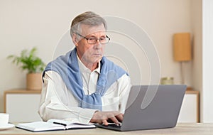 Serious senior gentleman at laptop computer sitting in modern office