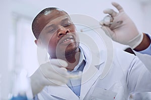 Serious skilled bioengineer doing a test with seeds