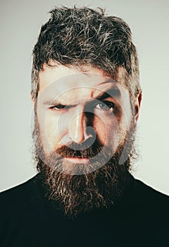 Serious stylish bearded man. Handsome young man isolated. Close up portrait of severe hot bearded guy with stylish