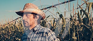 Serious thoughtful farmer in corn field