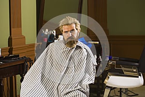 Serious young bearded man getting haircut by hairdresser while sitting in chair at barbershop.