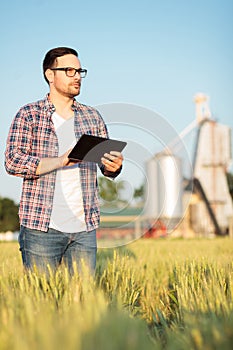 Serious young farmer or agronomist inspecting wheat plants in a field, working on a tablet