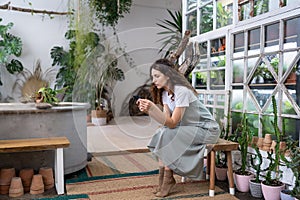 Serious young gardener woman owner holding smartphone reading media news, sitting in home garden